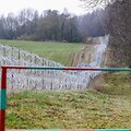 Lietuvos pasienis su Rusija / Teodoras Biliūnas / BNS