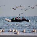 Marcin Nowak / ZUMAPRESS.com