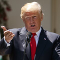D. Trumpas /  / AP