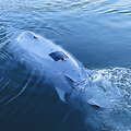 Frank Molter / dpa/picture-alliance