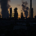 Asociatyvi nuotrauka / Marijan Murat / dpa/picture-alliance
