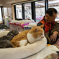 Japonija / PHILIP FONG / AFP