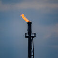Patrick Pleul / dpa/picture-alliance