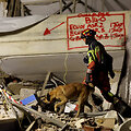 Aukų paie&scaron;kos Venesueloje / Ricardo Arduengo / REUTERS