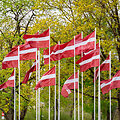 Kaspars Volonts / Alamy