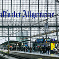 Bildagentur-online/  Joko / Alamy