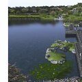Vilniaus japoni&scaron;ko sodo techninio projekto valdytoju tapo bendrovė &bdquo;Sweco Lietuva&ldquo;