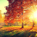Rudens peizažas