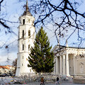 Vilniaus Kalėdų eglė jau Katedros aik&scaron;tėje
