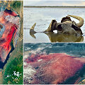 Sodos ežeras (angl. Lake Natron), Tanzanija