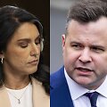 Tulsi Gabbard, Billas Pulte'as