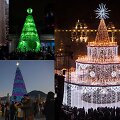BBC atrinktos Kalėdų eglės