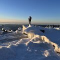 Karklė ir Olando kepurė, padengta ledu