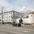 Tauragė