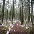 Ilgesingas Varnikų &scaron;auksmas: pasigrožėti &scaron;lapiu sniegu apdribusia gamta