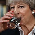 Theresa May prie&scaron; rinkimus ėmė klupti