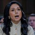 Tulsi Gabbard /  / AP