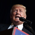 Donaldas Trumpas