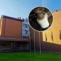 Alytaus mokytojai už nederamą elgesį su mokiniais &ndash; įspėjimas