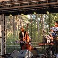 Alytaus džiazo festivalis