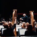 LVSO