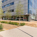 Vilniaus miesto savivaldybe