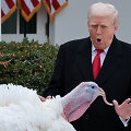 Donaldas Trumpas