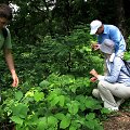 Biosistematikai kasmet atlieka lauko tyrimus ir tęsia naujų mokslui rū&scaron;ių paie&scaron;kas