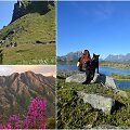 Kelionė kemperiu po Norvegijos &scaron;iaurę