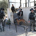 Izraelio policija Jeruzalėje