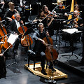  Tarptautinis Klaipėdos violončelės festivalis