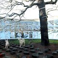 Latvijos sostinėje atidaryta moderniausia &bdquo;Senukų&ldquo; parduotuvė Baltijos &scaron;alyse