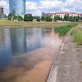 Ter&scaron;alai Neryje tiesiai prie&scaron; Seimo rūmus?