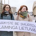 Mitingas  dėl greitesnių pokyčių vaikų apsaugos nuo smurto srityje