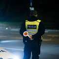 Naktinis policijos reidas Vilniaus mieste
