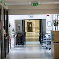 Kamieninių kraujodaros ląstelių transplantacijos sektorius ir labortatorija LSMU Kauno klinikose