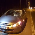 Prie Vilniaus du automobiliai susidūrė su briedžiu.