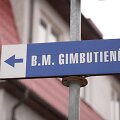 Universiteto dėstytojai M.Gimbutienės ir aplinkinėse gatvėse ėmė kurtis XX a. de&scaron;imtajame de&scaron;imtmetyje