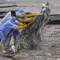 &Scaron;ri Lankos paplūdimį nuklojo plastiko granulės i&scaron; degančio laivo