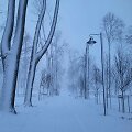 Žiema Žagarės regioniniame parke