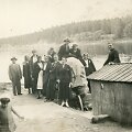 Bir&scaron;tono banginukas