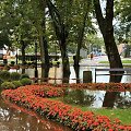 Užtvindytas Miendzyzdroje miesto parkas, Vakarų Pamario vaivadija