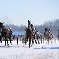 Lenktynių akimirka