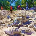 Filipinuose per reidą konfiskuota 3,3 mln. dolerių vertės moliuskų kriauklių
