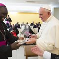Popiežiaus Pranci&scaron;kaus vizitas Afrikoje