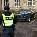 Klaipėdoje vėtra nulaužė ir užvertė beržą ant "Volvo" automobilio