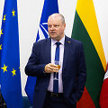 Edita Gudi&scaron;auskienė, Saulius Skvernelis