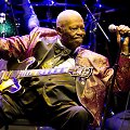 B.B.Kingas (2011 m.)