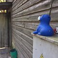 Girininkų II kaime, įtariama, mama nužudė savo naujagimę