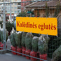 Prekyba Kalėdinėmis eglutėmis